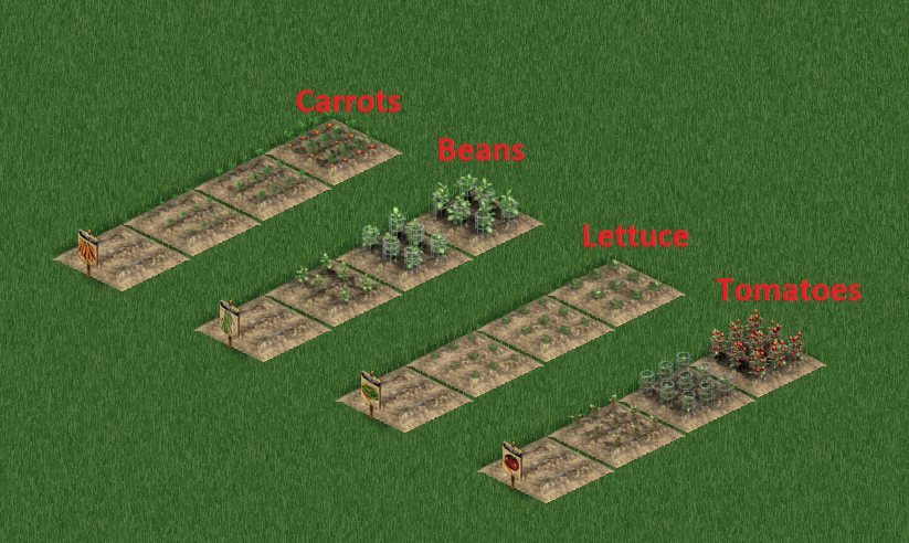 All Crop Growth Stages